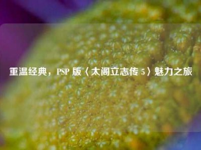 重温经典，PSP 版〈太阁立志传 5〉魅力之旅