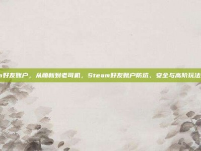 steam好友账户，从萌新到老司机，Steam好友账户防坑、安全与高阶玩法全攻略