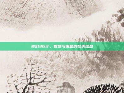 哥们36计，智慧与策略的完美结合