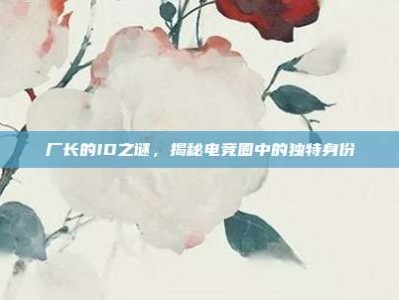 厂长的ID之谜，揭秘电竞圈中的独特身份