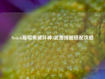 Switch版暗黑破坏神3武僧技能搭配攻略