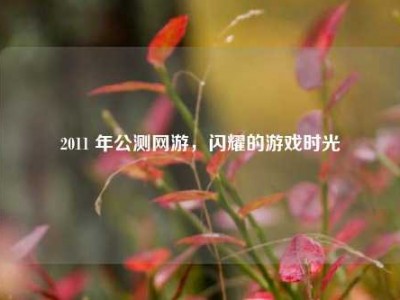 2011 年公测网游，闪耀的游戏时光