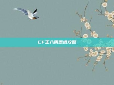CF王八用恶棍攻略