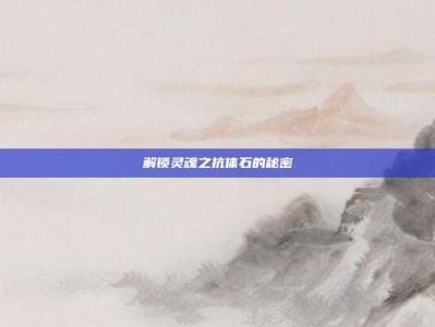 解锁灵魂之抗体石的秘密