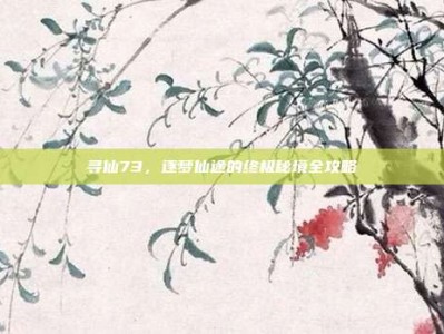 寻仙73，逐梦仙途的终极秘境全攻略