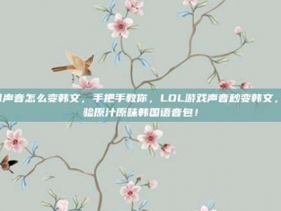 lol声音怎么变韩文，手把手教你，LOL游戏声音秒变韩文，体验原汁原味韩国语音包！
