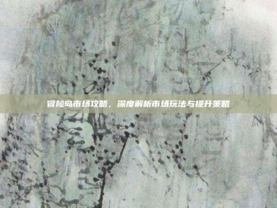 冒险岛市场攻略，深度解析市场玩法与提升策略
