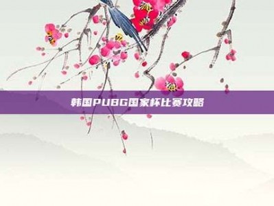 韩国PUBG国家杯比赛攻略