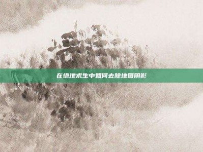 在绝地求生中如何去除地图阴影