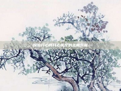 探索开心网开心餐厅的无限乐趣