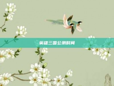 英雄三国公测时间