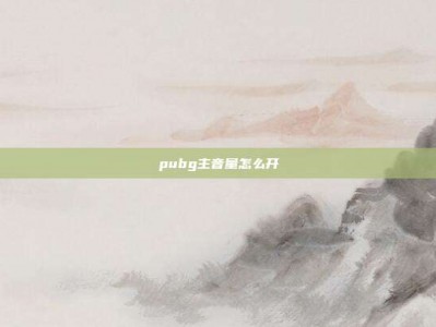 pubg主音量怎么开