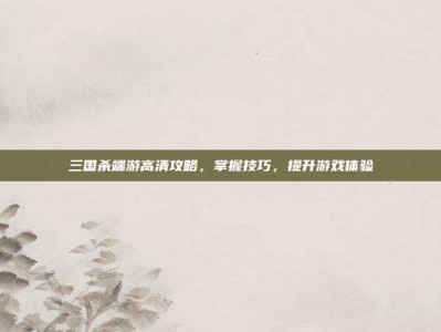 三国杀端游高清攻略，掌握技巧，提升游戏体验