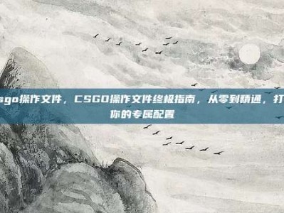 csgo操作文件，CSGO操作文件终极指南，从零到精通，打造你的专属配置