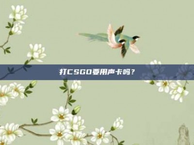 打CSGO要用声卡吗？