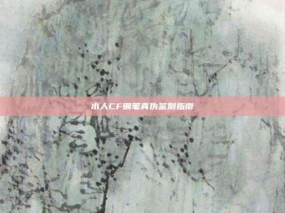 水人CF钢笔真伪鉴别指南