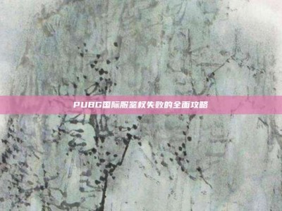 PUBG国际服鉴权失败的全面攻略