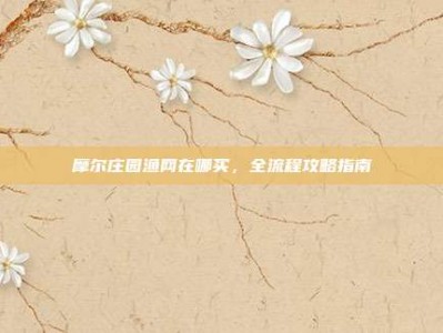 摩尔庄园渔网在哪买，全流程攻略指南
