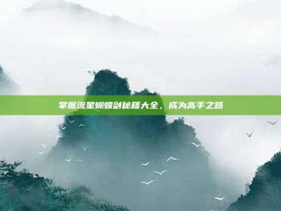 掌握流星蝴蝶剑秘籍大全，成为高手之路