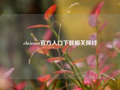ehviewer官方入口下载相关探讨