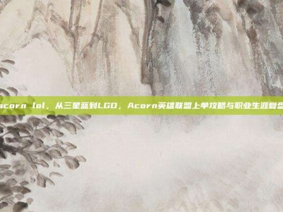 acorn lol，从三星蓝到LGD，Acorn英雄联盟上单攻略与职业生涯复盘