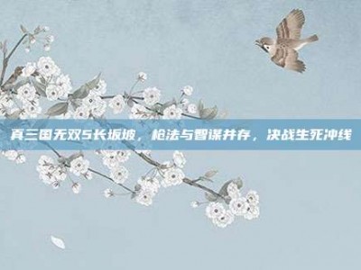 真三国无双5长坂坡，枪法与智谋并存，决战生死冲线