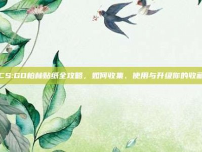 CS:GO柏林贴纸全攻略，如何收集、使用与升级你的收藏