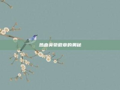 热血英豪徽章的奥秘