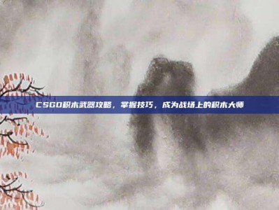 CSGO积木武器攻略，掌握技巧，成为战场上的积木大师
