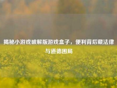 揭秘小游戏破解版游戏盒子，便利背后藏法律与道德困局