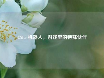 CS1.5 机器人，游戏里的特殊伙伴