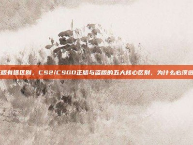 csgo正版有啥区别，CS2/CSGO正版与盗版的五大核心区别，为什么必须选择正版？