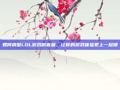 如何调整LOL游戏的音量，让你的游戏体验更上一层楼