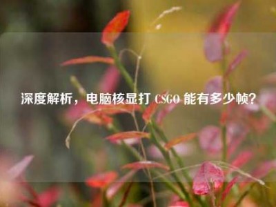 深度解析，电脑核显打 CSGO 能有多少帧？