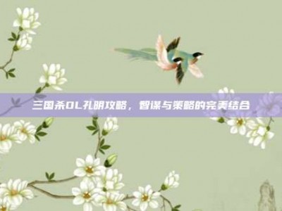 三国杀OL孔明攻略，智谋与策略的完美结合