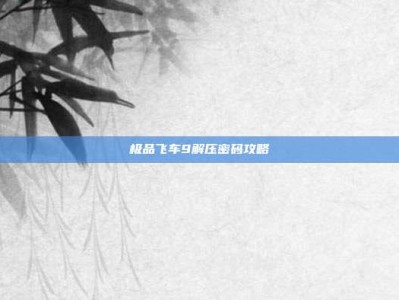 极品飞车9解压密码攻略