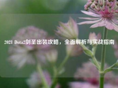 2021 Dota2剑圣出装攻略，全面解析与实战指南