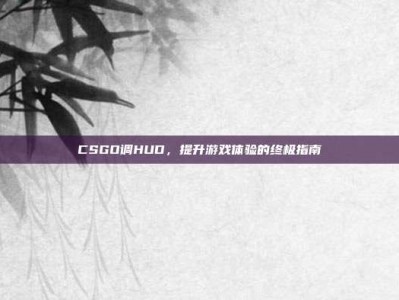 CSGO调HUD，提升游戏体验的终极指南