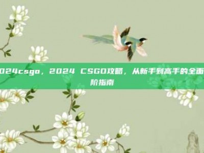 2024csgo，2024 CSGO攻略，从新手到高手的全面进阶指南