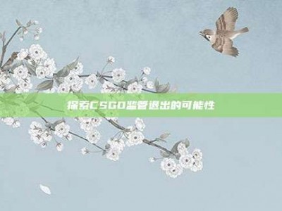 探索CSGO监管退出的可能性