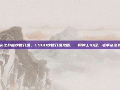 csgo怎样能快速升级，CSGO快速升级攻略，一周冲上10级，老手亲测有效！