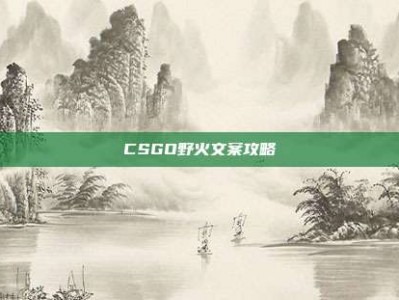 CSGO野火文案攻略
