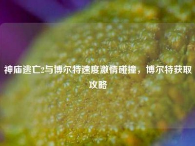 神庙逃亡2与博尔特速度激情碰撞，博尔特获取攻略
