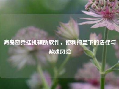 海岛奇兵挂机辅助软件，便利掩盖下的法律与游戏风险