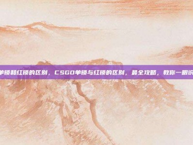 csgo单锁和红锁的区别，CSGO单锁与红锁的区别，最全攻略，教你一眼识破风险