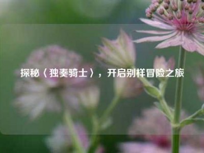 探秘〈独奏骑士〉，开启别样冒险之旅