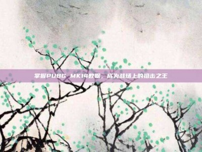 掌握PUBG MK14数据，成为战场上的狙击之王