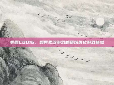 掌握COD16，如何更改游戏邮箱以优化游戏体验