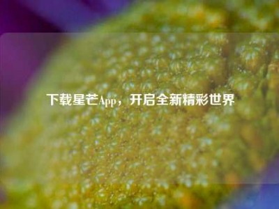 下载星芒App，开启全新精彩世界