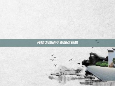 光明之魂格斗家加点攻略